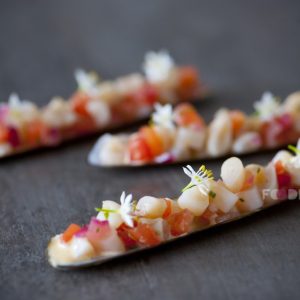 silly-scheermes-1024x682